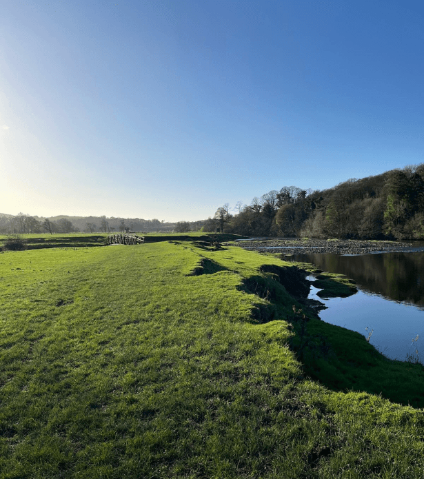 A riverside meadow on a clear morning