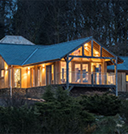 side images 250 by 262 1